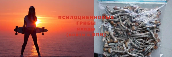 мет Богданович