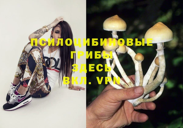 прущая мука Богородск
